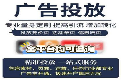 竞价推广成功案例解析